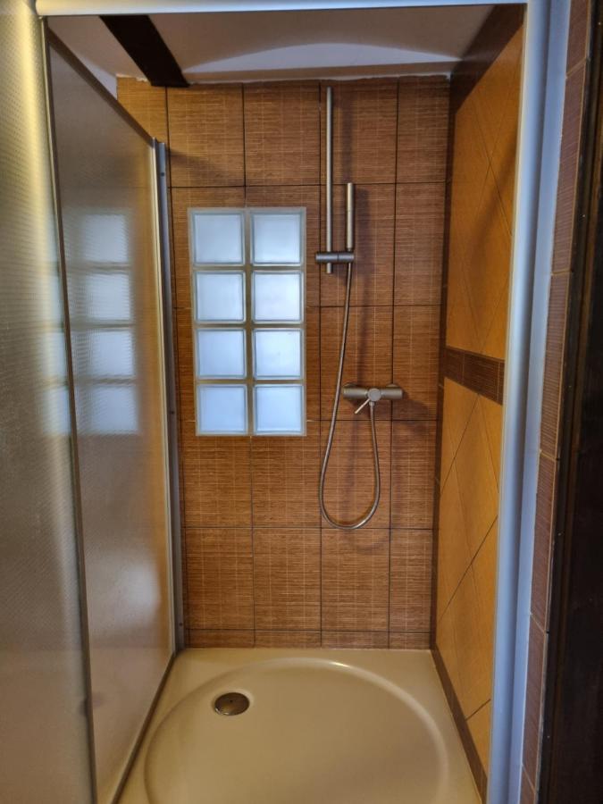 Galerie Vila Lucia 5 -Loft Apartman เปิลเซน ภายนอก รูปภาพ